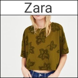 ZARA Leaf Velour short sleeve crop Top large